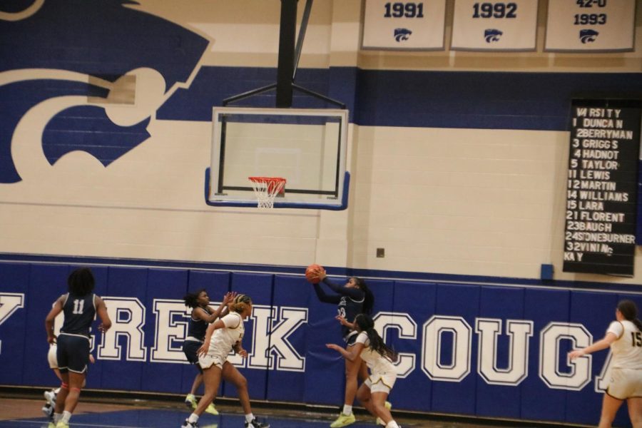 Lady Panthers win Bi-District, advance in playoffs